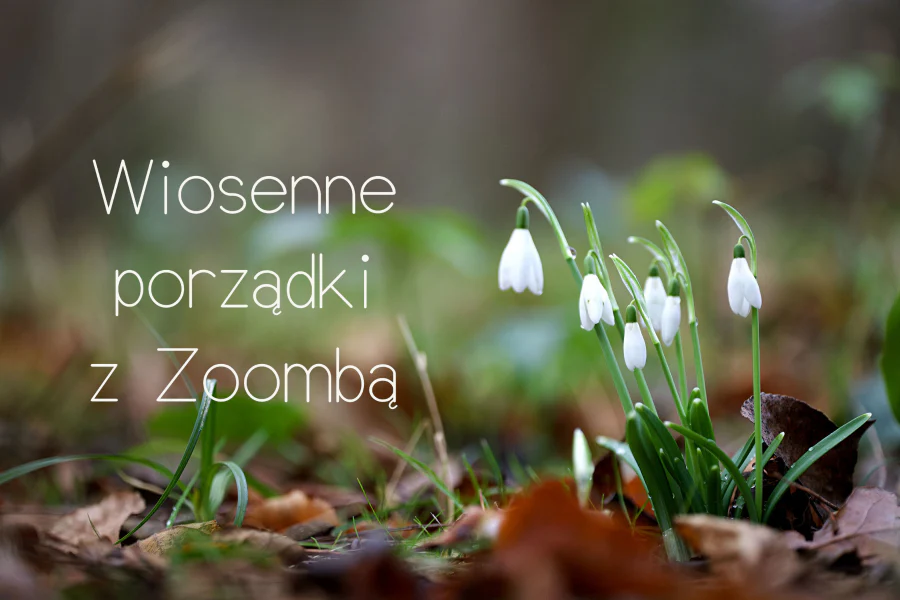 Wiosenne porządki z Zoombą